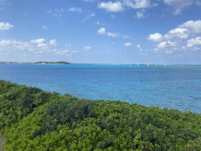 【宮古島/観光バス/1日】色彩豊かな人気の5大絶景スポットを巡ろう☆バスガイド付き観光バスツアー＜日帰り参加OK＆年齢制限なし＞