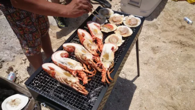바비큐 요리