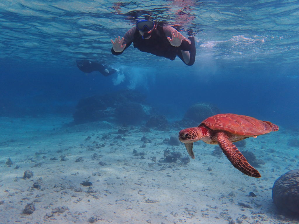 宮古島のシュノーケリング