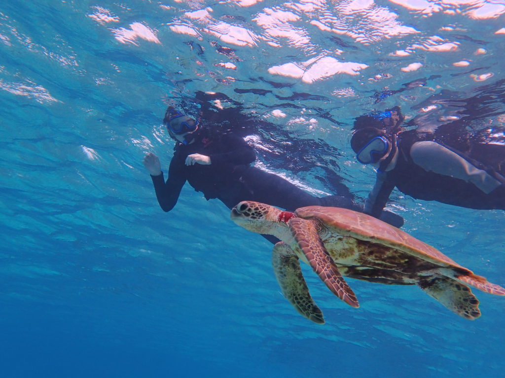 宮古島のシュノーケリング