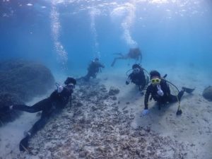 ビーチダイビング