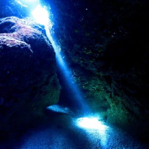 宮古島ダイビング