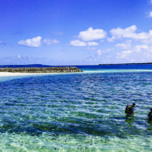 宮古島のダイビング