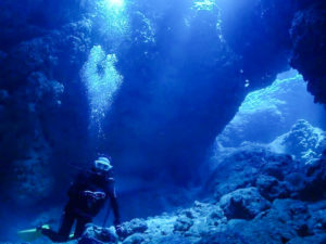 宮古島のファンダイビング