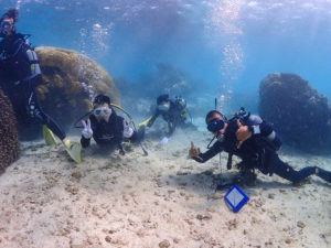 宮古島のダイビング