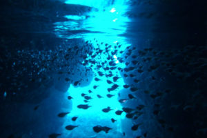 伊良部島の青の洞窟内部