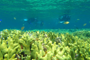 青の洞窟周辺の美しい海