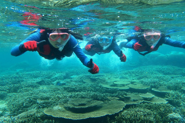 グレートイラブリーフのシュノーケリング