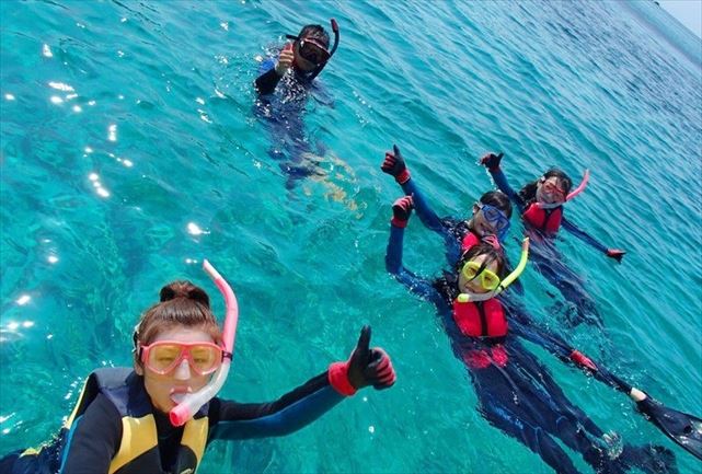 グレートイラブリーフでのシュノーケリング