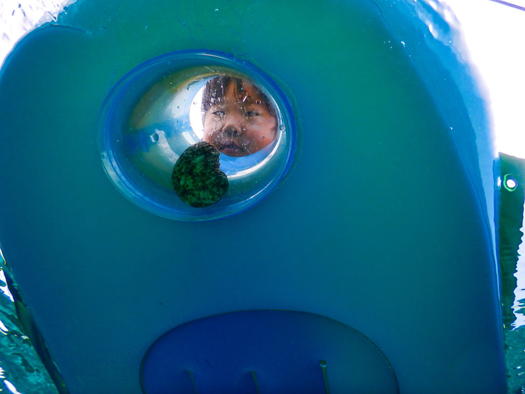 宮古島のシュノーケリング