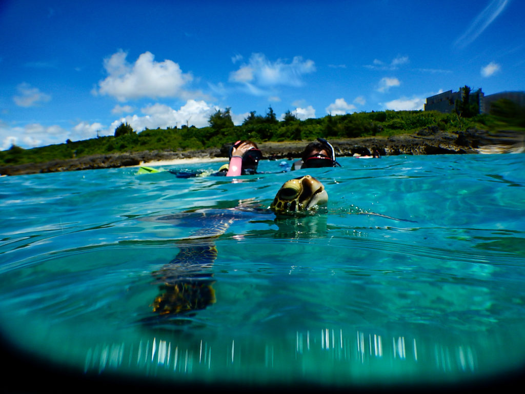 宮古島のシュノーケリング