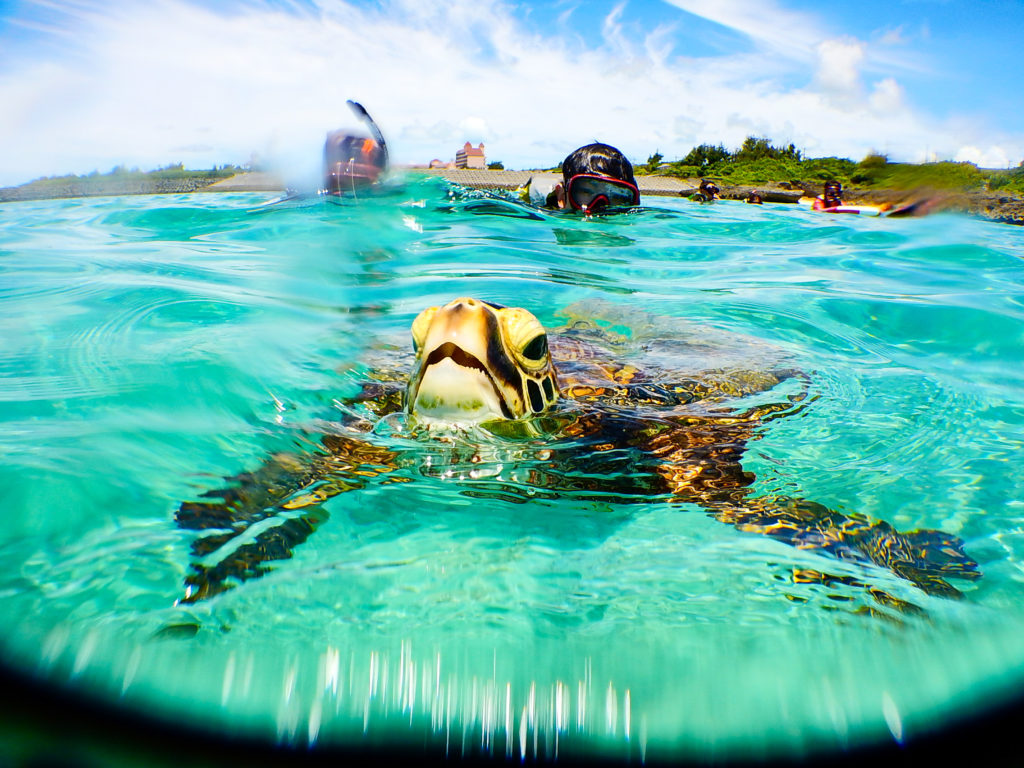 宮古島のシュノーケリング