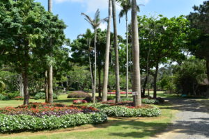 宮古島熱帯植物園