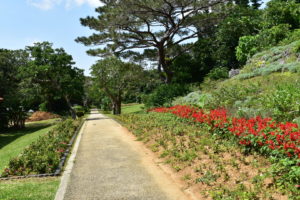 宮古島市熱帯植物園 宮古島島の観光スポット 宮古島ツアーズ