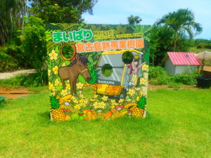宮古島熱帯果樹園