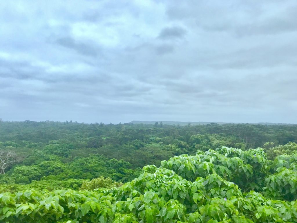 宮古島市熱帯植物園