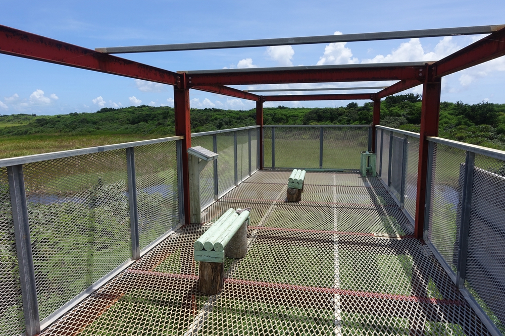 池間湿原宮古島の観光スポット 宮古島ツアーズ