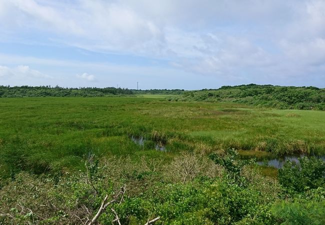 池間島の観光スポットの池間湿原