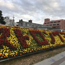 全日本トライアスロン宮古島大会