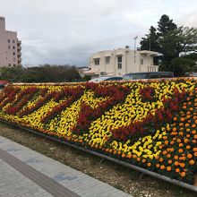 全日本トライアスロン宮古島大会