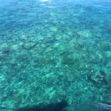 宮古島の観光スポットの八重干瀬