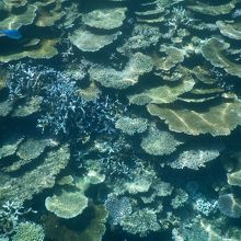 宮古島の観光スポットの八重干瀬