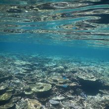 宮古島の観光スポットの八重干瀬