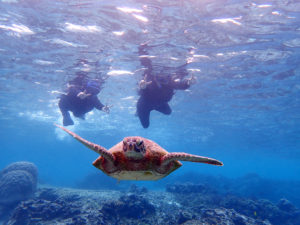 宮古島のシュノーケリング