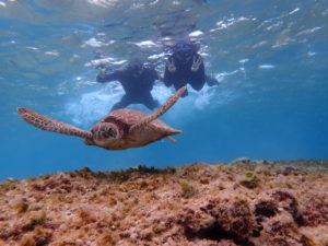 宮古島のシュノーケリング