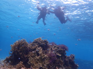 宮古島のシュノーケリング