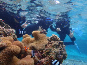 宮古島のシュノーケリング