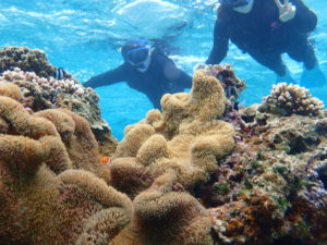 宮古島のシュノーケリング