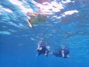 宮古島のシュノーケリング