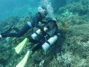 宮古島のダイビング
