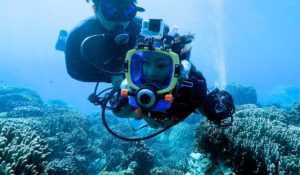 宮古島のダイビング