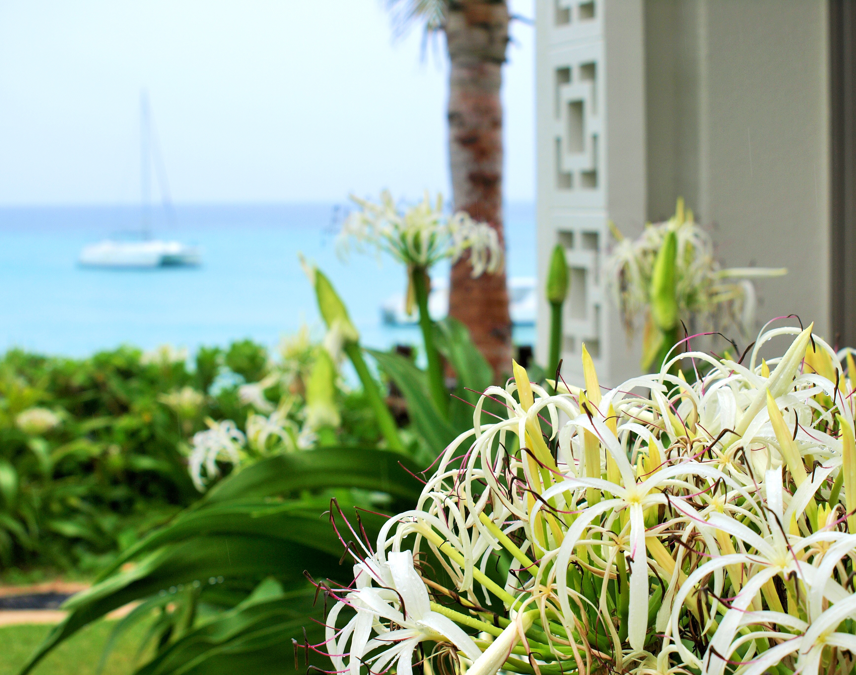 リゾートのイメージ