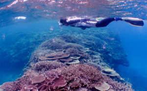 宮古島のダイビングの青の洞窟