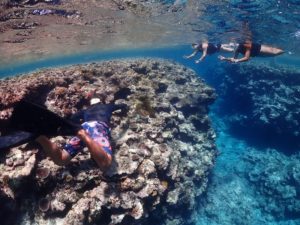 宮古島シュノーケリングツアー