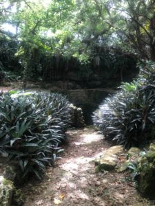 宮古島の観光スポットの大和井