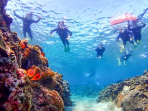 宮古島の透明な海でシュノーケリング