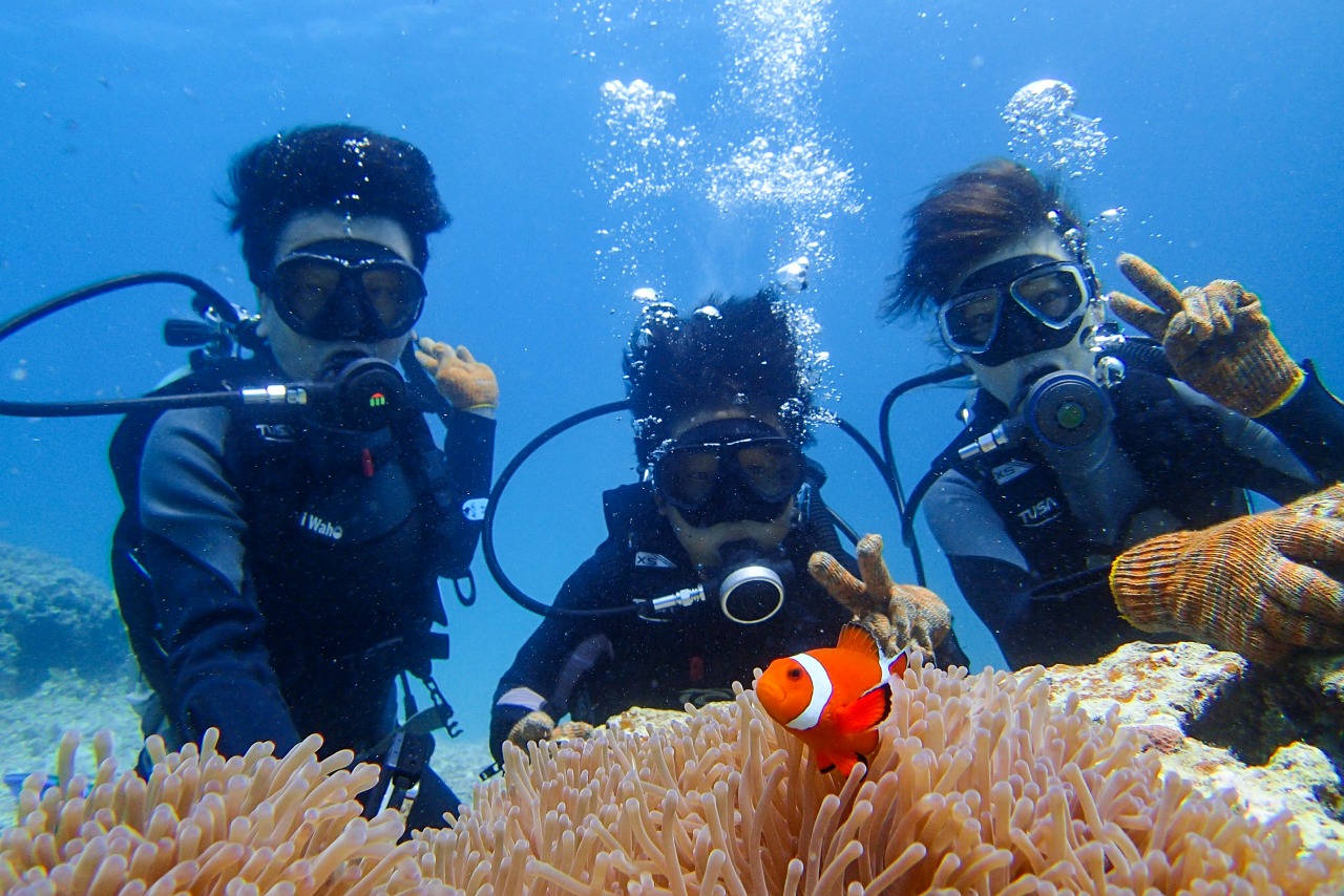 宮古島のダイビング