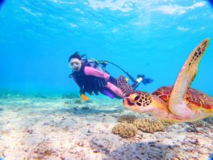 宮古島の体験ダイビング