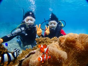 宮古島の体験ダイビング