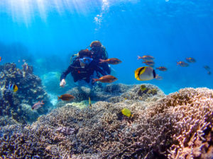 宮古島で体験ダイビング