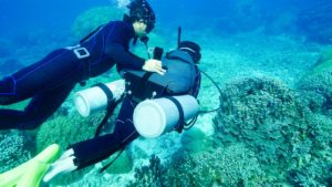 宮古島の体験ダイビングツアー)