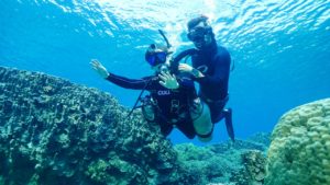 宮古島のダイビング