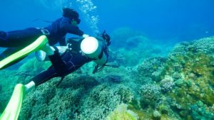 宮古島のダイビング