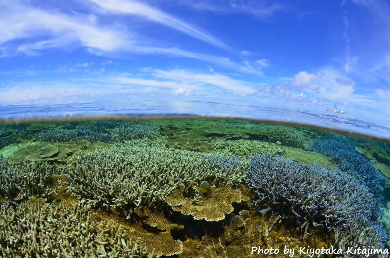 海底が見えるほどの八重干瀬の海