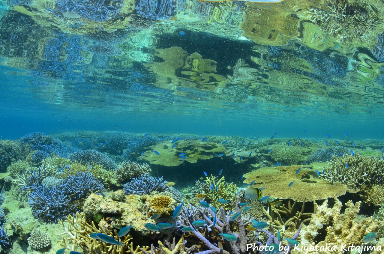 八重干瀬の絶景スポット