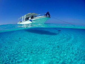 八重干瀬シュノーケリング